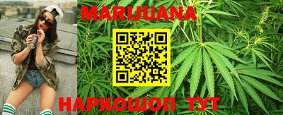 сатива Апшеронск