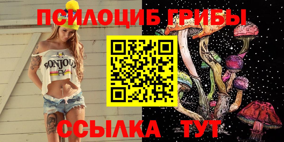 Галлюциногенные грибы Cubensis Сафоново