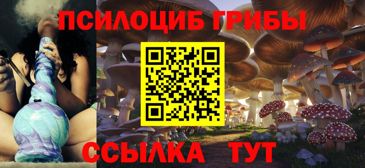 Галлюциногенные грибы Psilocybe  Псилоцибиновые грибы MAGIC MUSHROOMS  Вход с VPN  Сафоново 